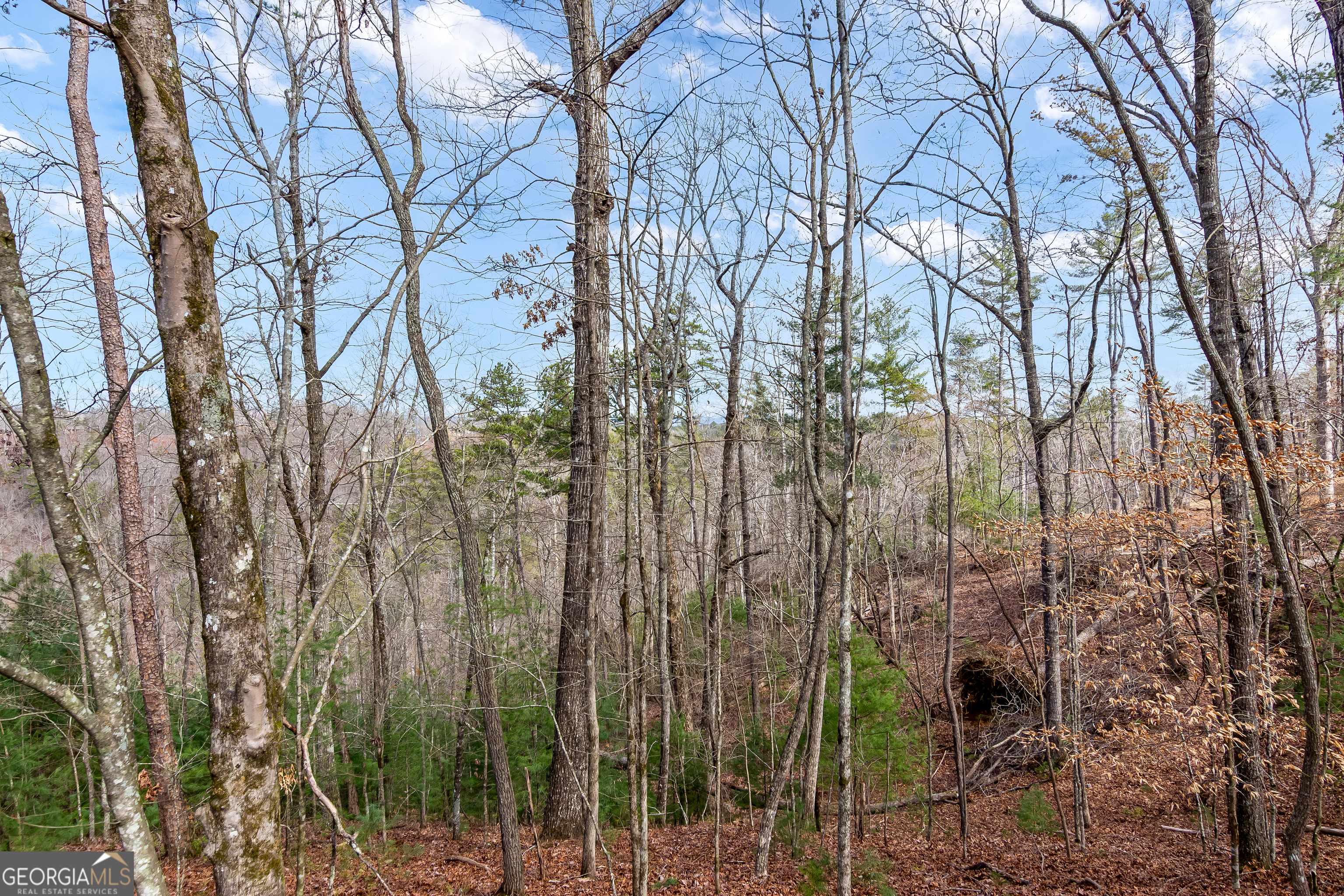 Ellijay, GA 30540,LOT 941 Myna Drive