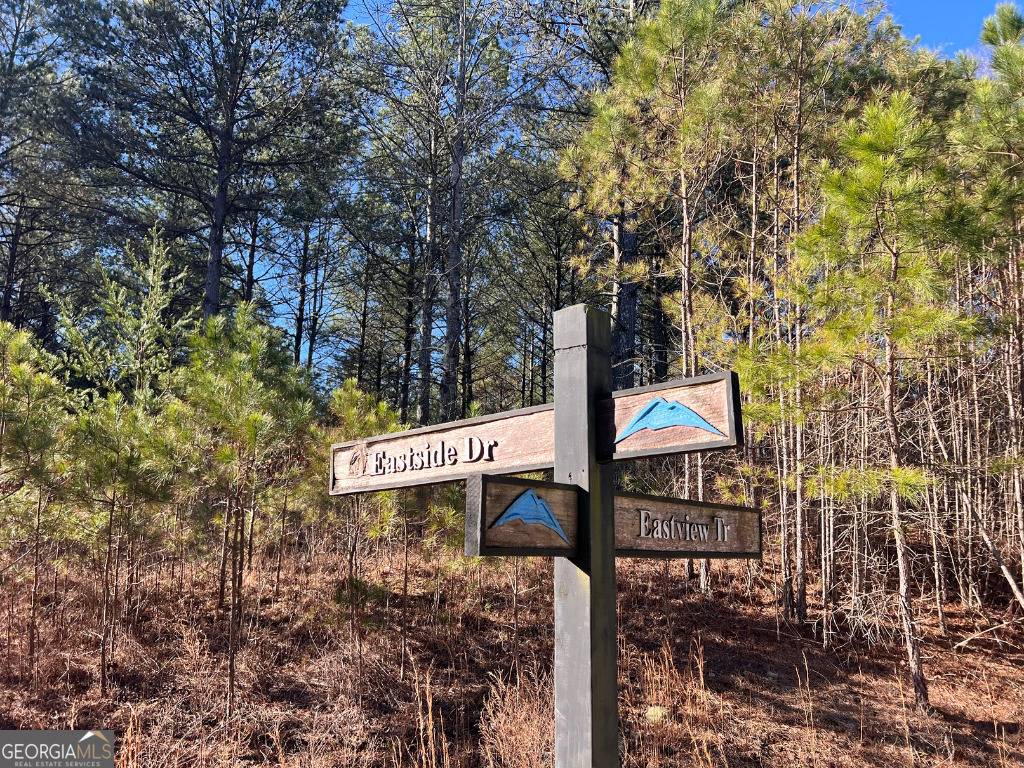 Ellijay, GA 30540,0 Eastview TRL