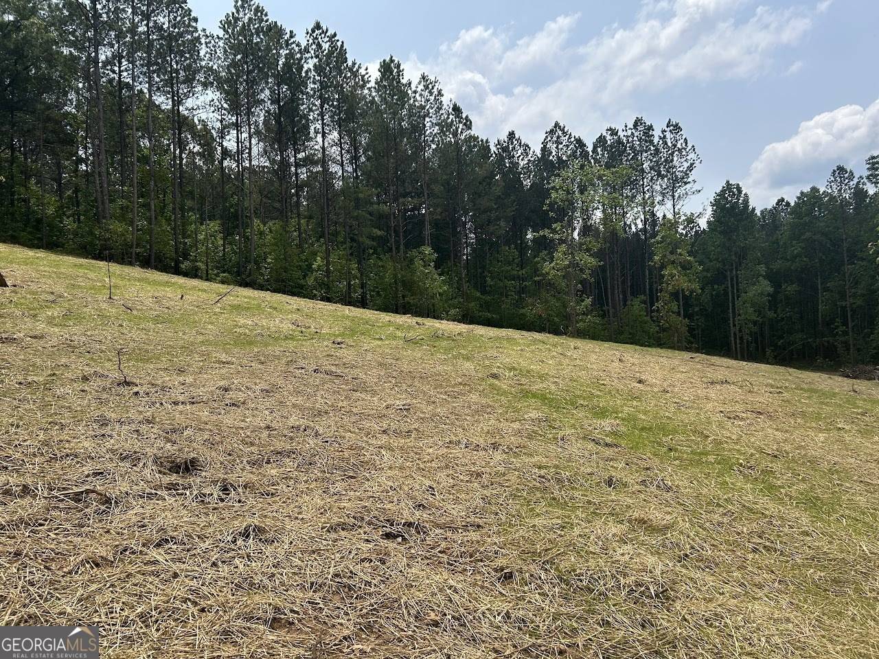 Carrollton, GA 30117,208 RiverSong RD