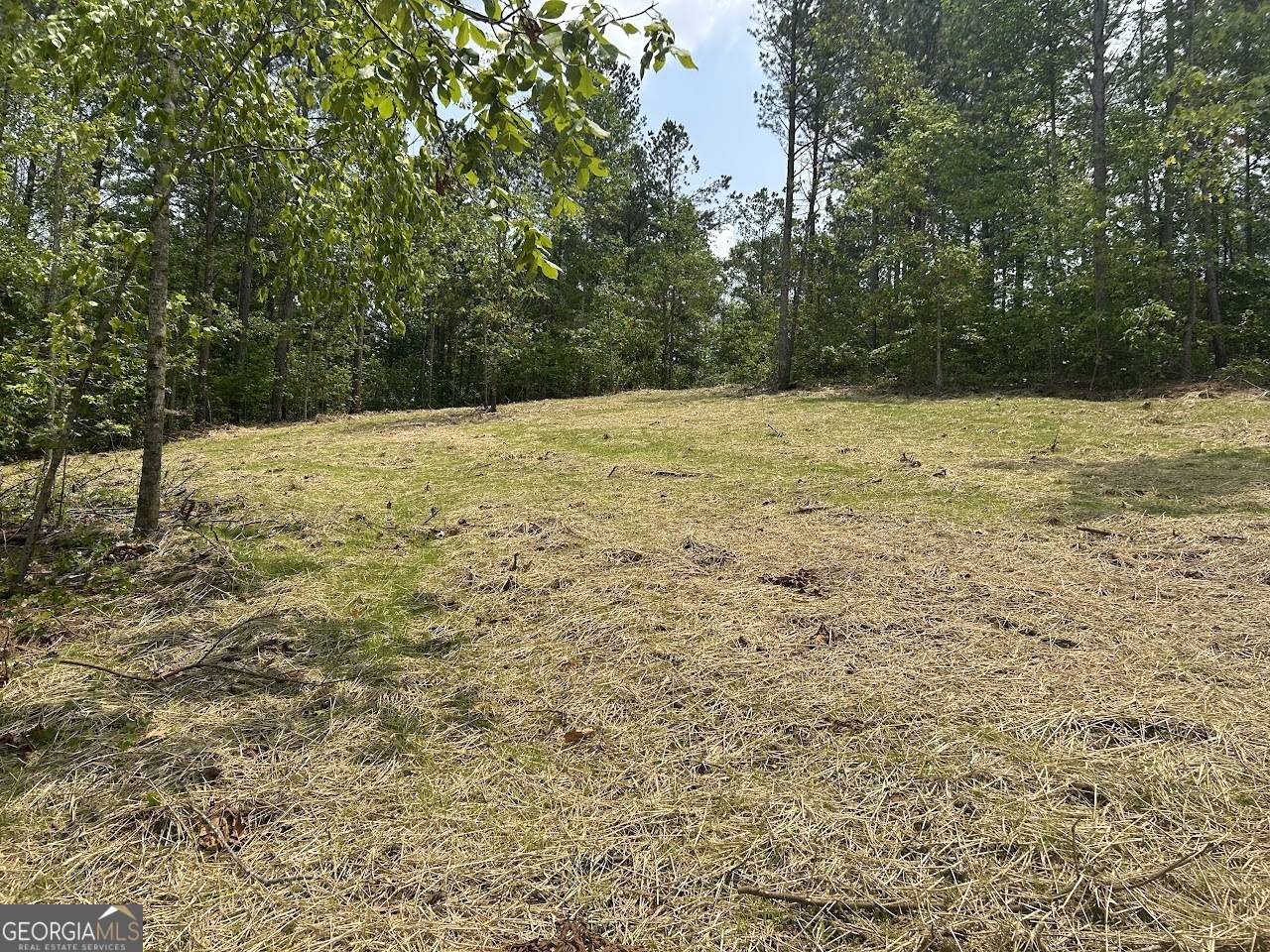 Carrollton, GA 30117,142 RiverSong RD