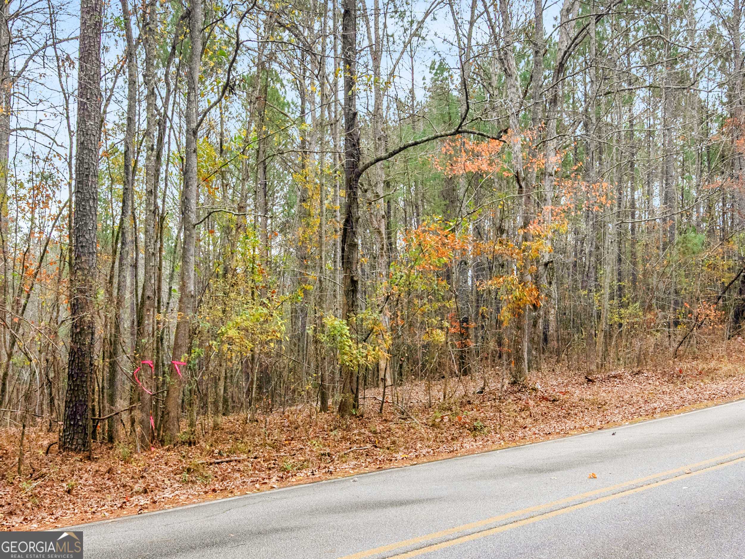 Griffin, GA 30223,130 N Morgan DR