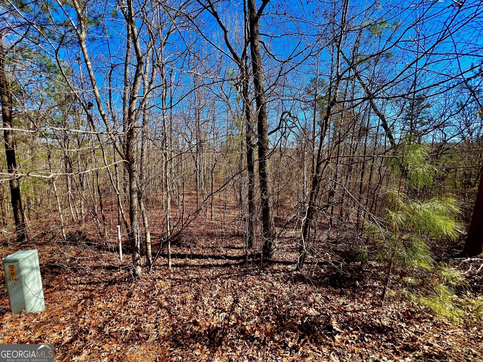 Ellijay, GA 30540,32 Harris Creek RD