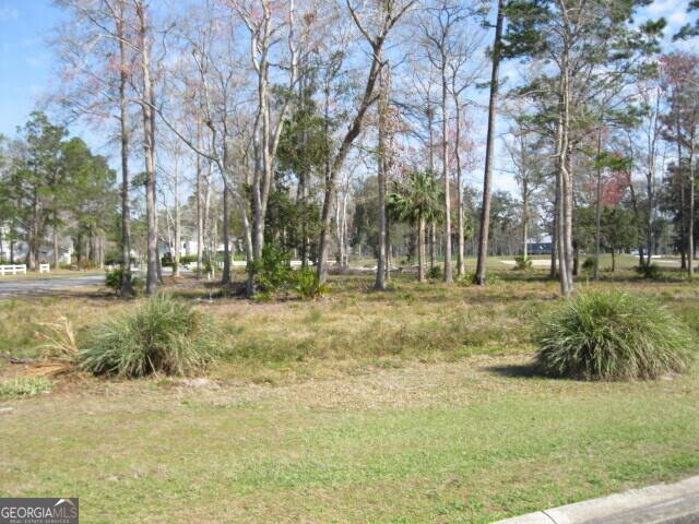 Waverly, GA 31565,LOT 23 Audubon Wynd