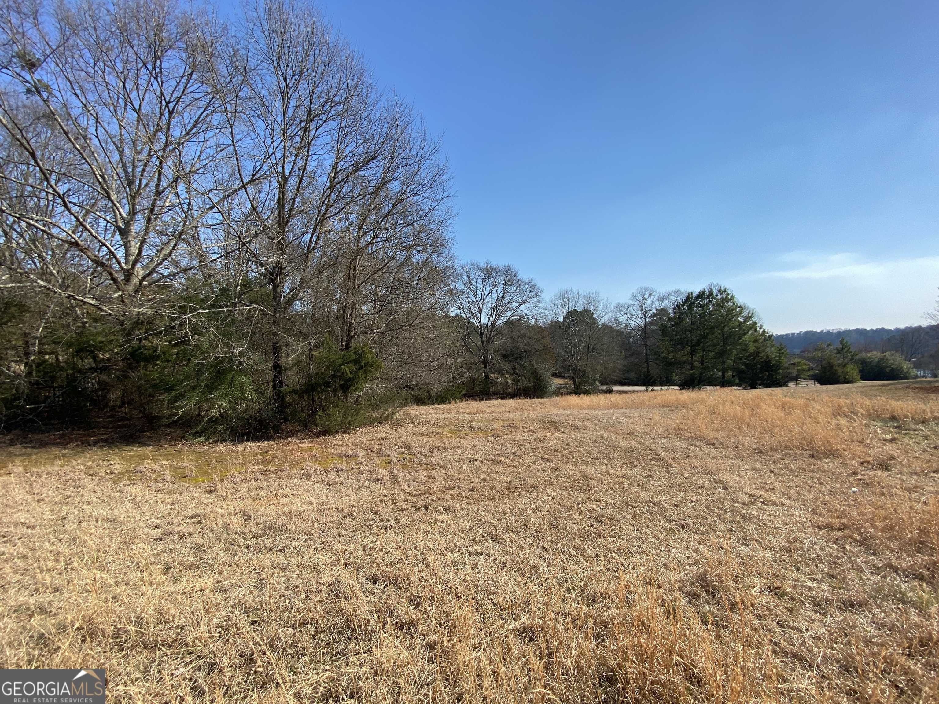 Hartwell, GA 30643,LOT 25 Majestic Shores