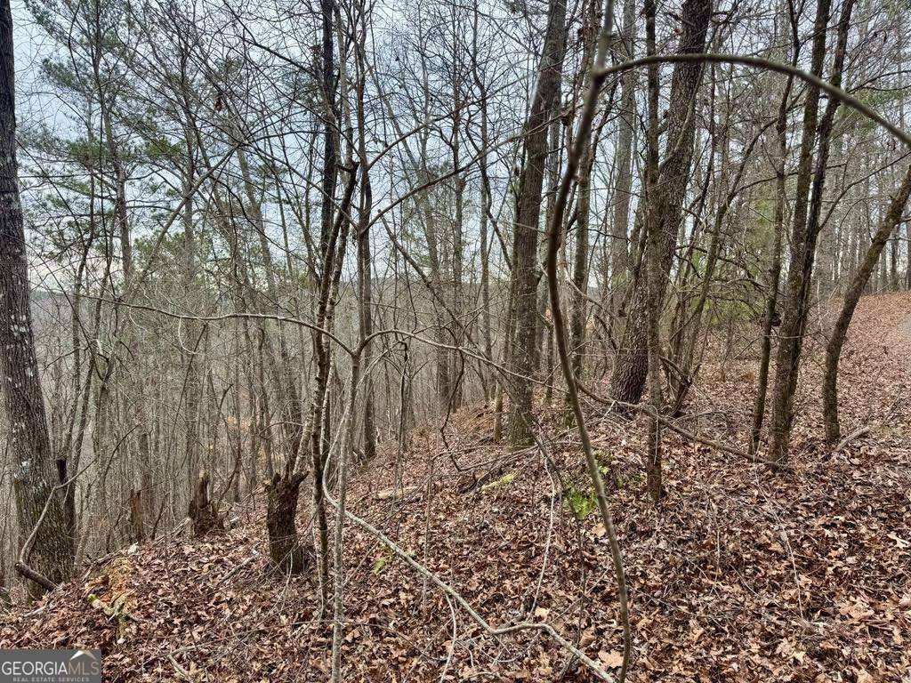 Talking Rock, GA 30175,0 LOT 1758B Rebekah RDG