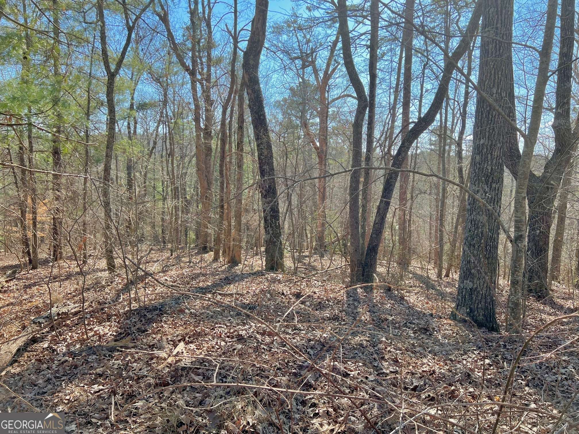 Ellijay, GA 30540,113 Beech Tree DR