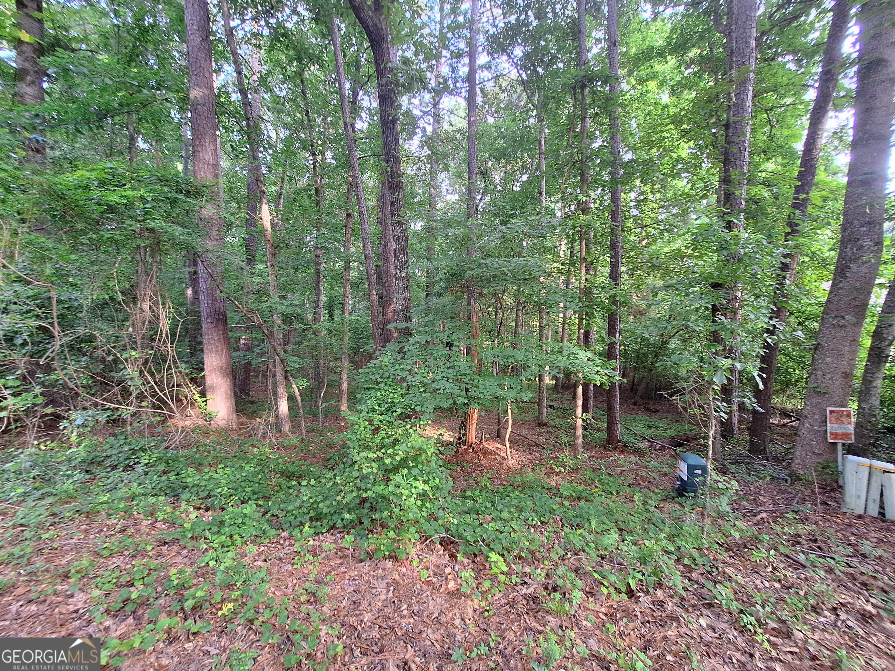 Monticello, GA 31064,LOT 20 Cardinal DR