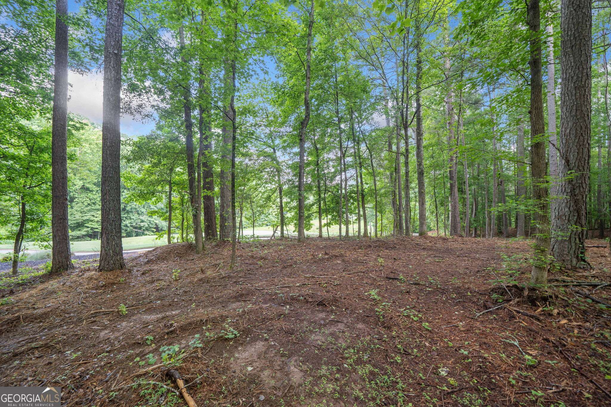 Milton, GA 30004,14880 Freemanville RD