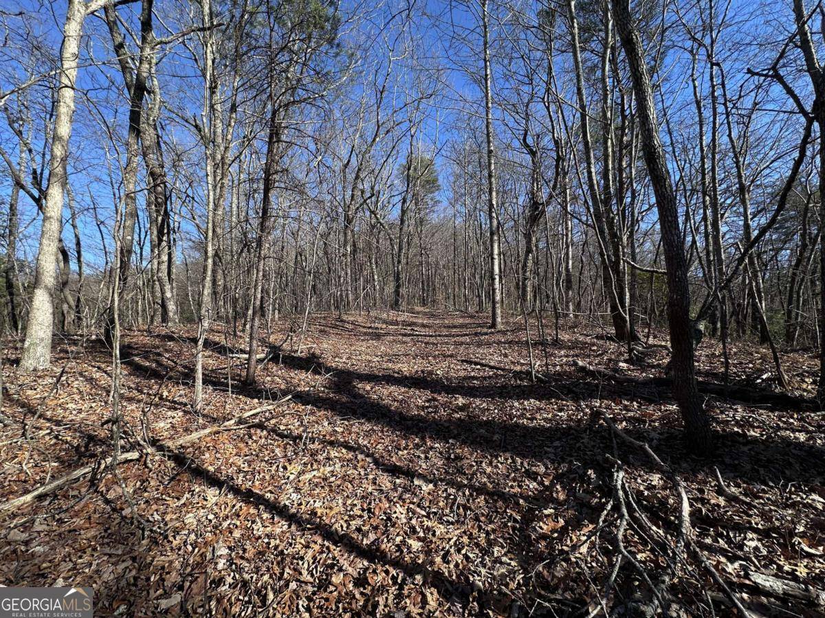 Ellijay, GA 30536,57 St Andrews WAY