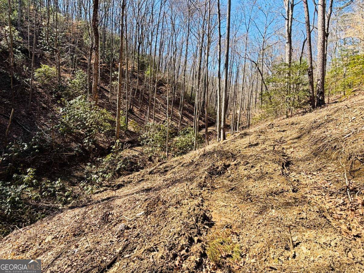 Blue Ridge, GA 30513,2.49 AC Mountain Tops CIR