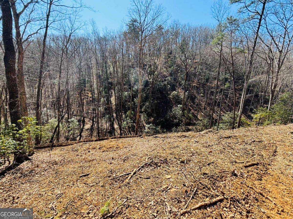 Blue Ridge, GA 30513,2.49 AC Mountain Tops CIR