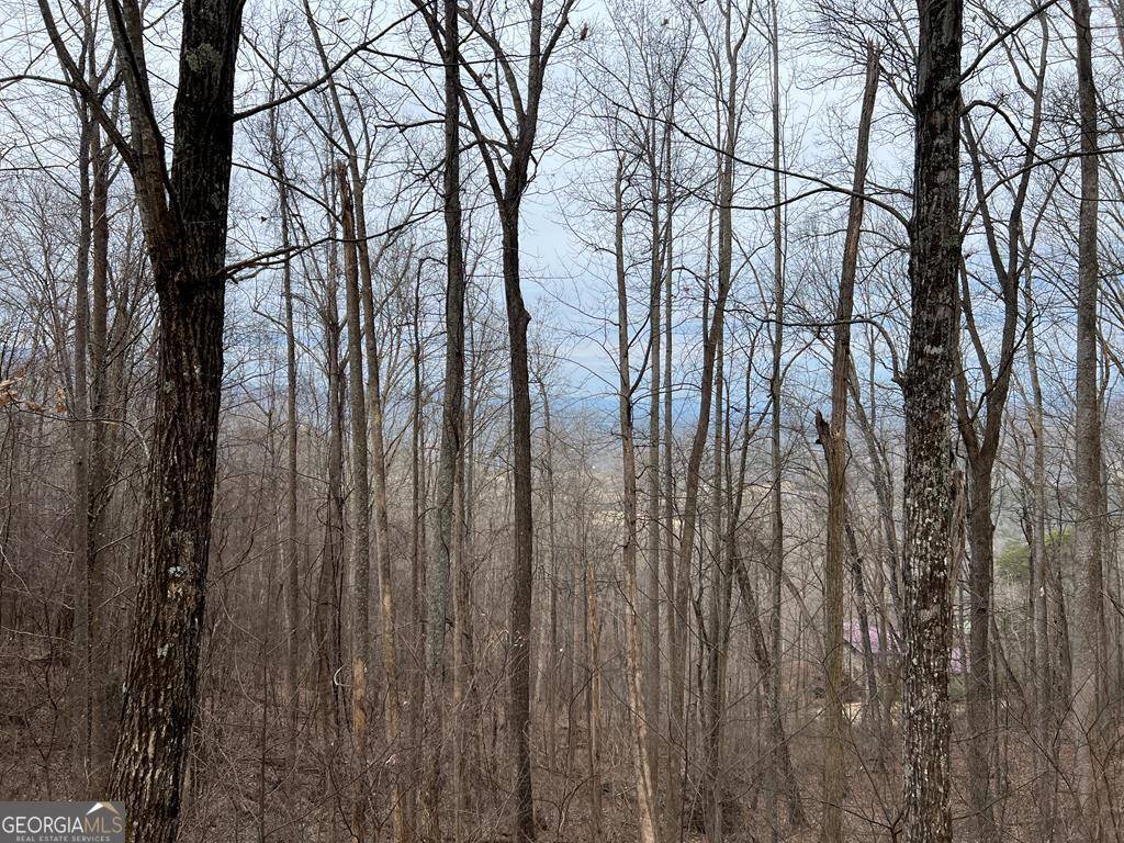Young Harris, GA 30582,LOT 73 Rocky Knob Estates