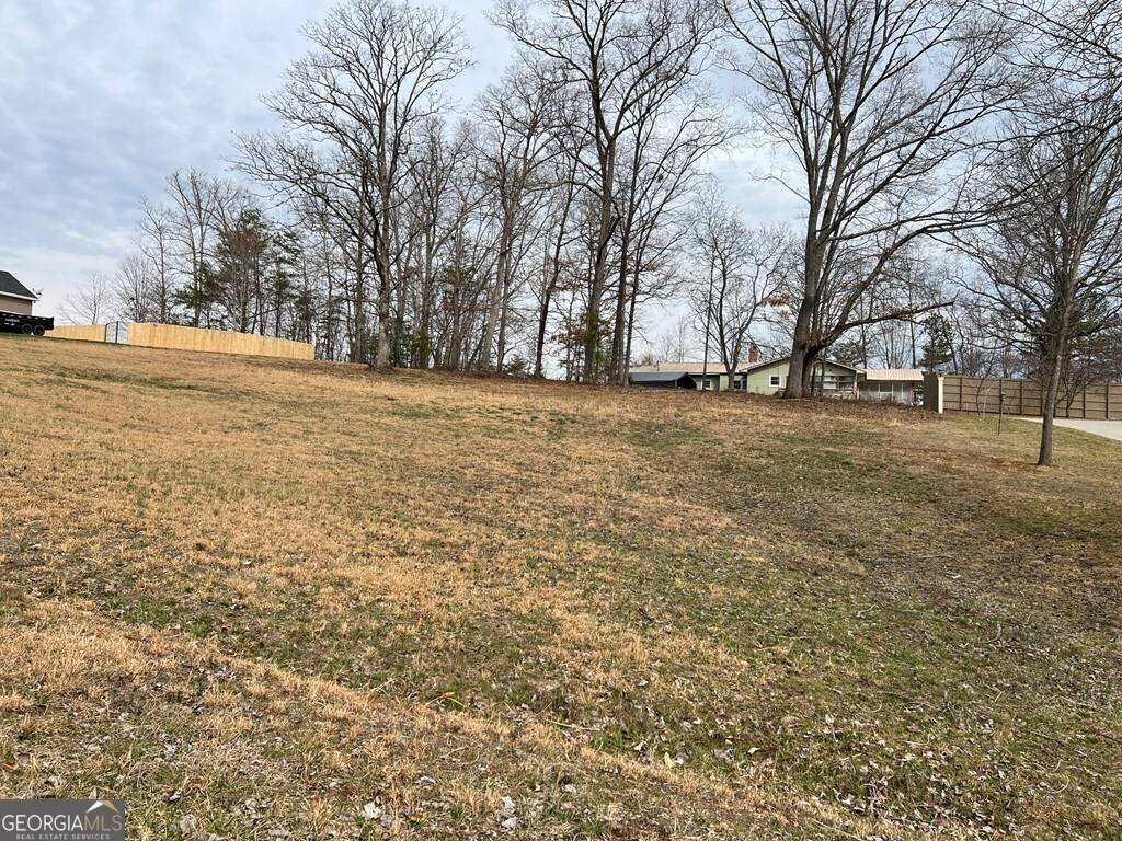 Hiawassee, GA 30546,LOT 14 Hidden Fields