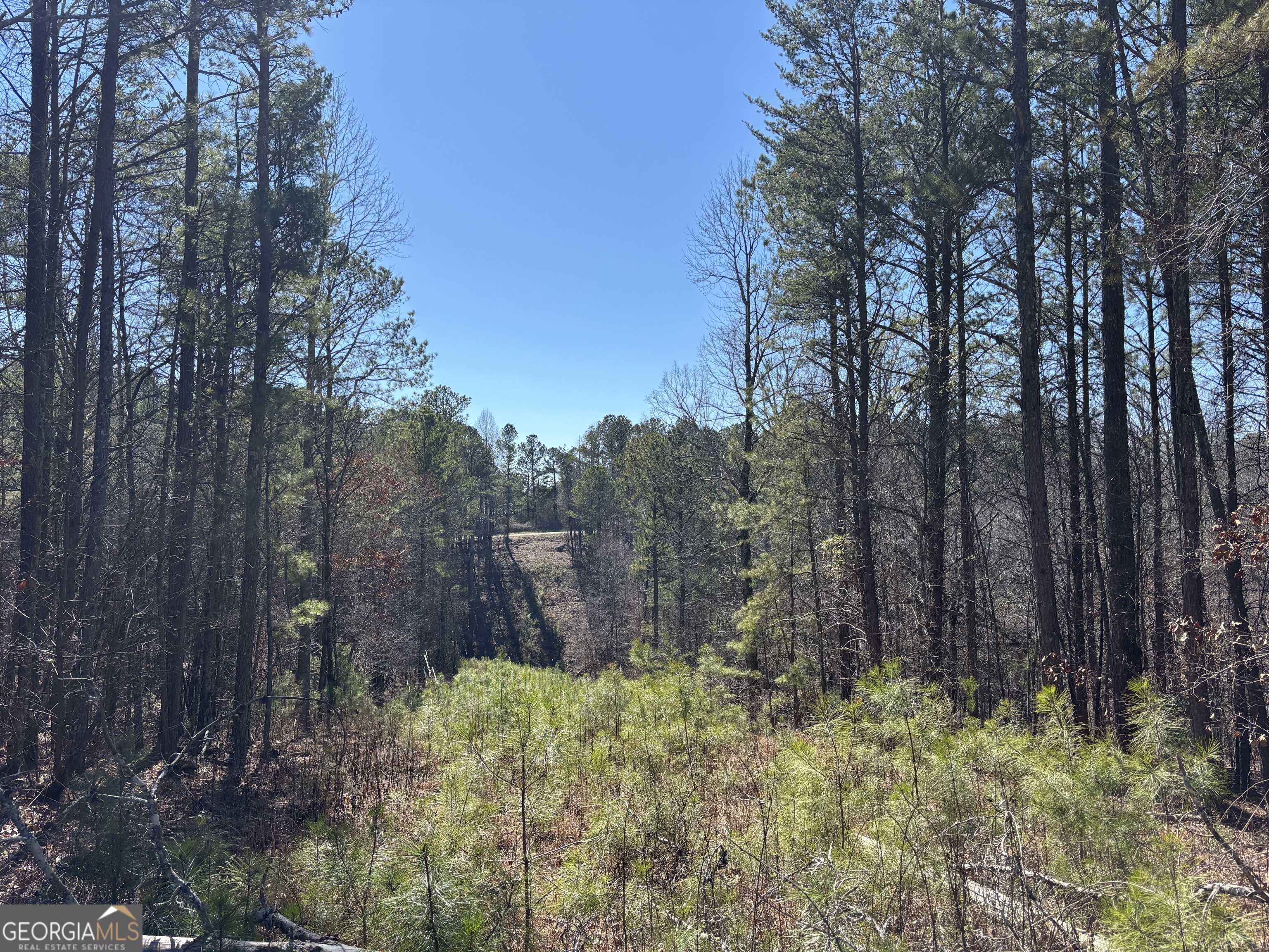 Ranger, GA 30734,0 (LOT #4 WEST) Dry Pond RD