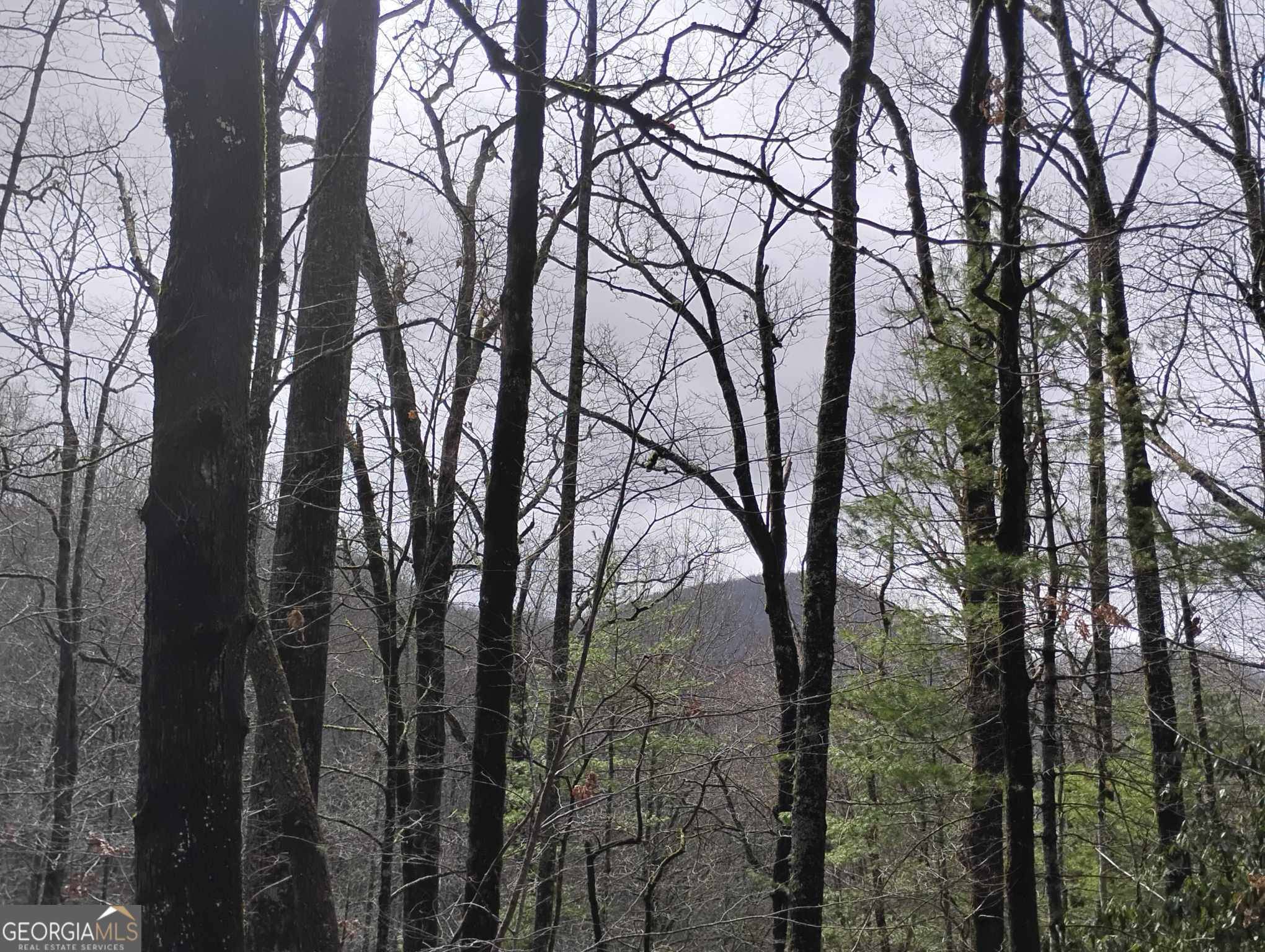 Sky Valley, GA 30537,0 LOT #289 Cobblewood TRL