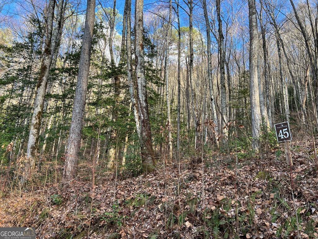 Hayesville, NC 28904,LOT 45 Tusquittee Crossing