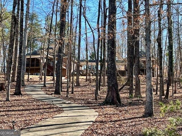 Martin, GA 30557,520 Foxy LN
