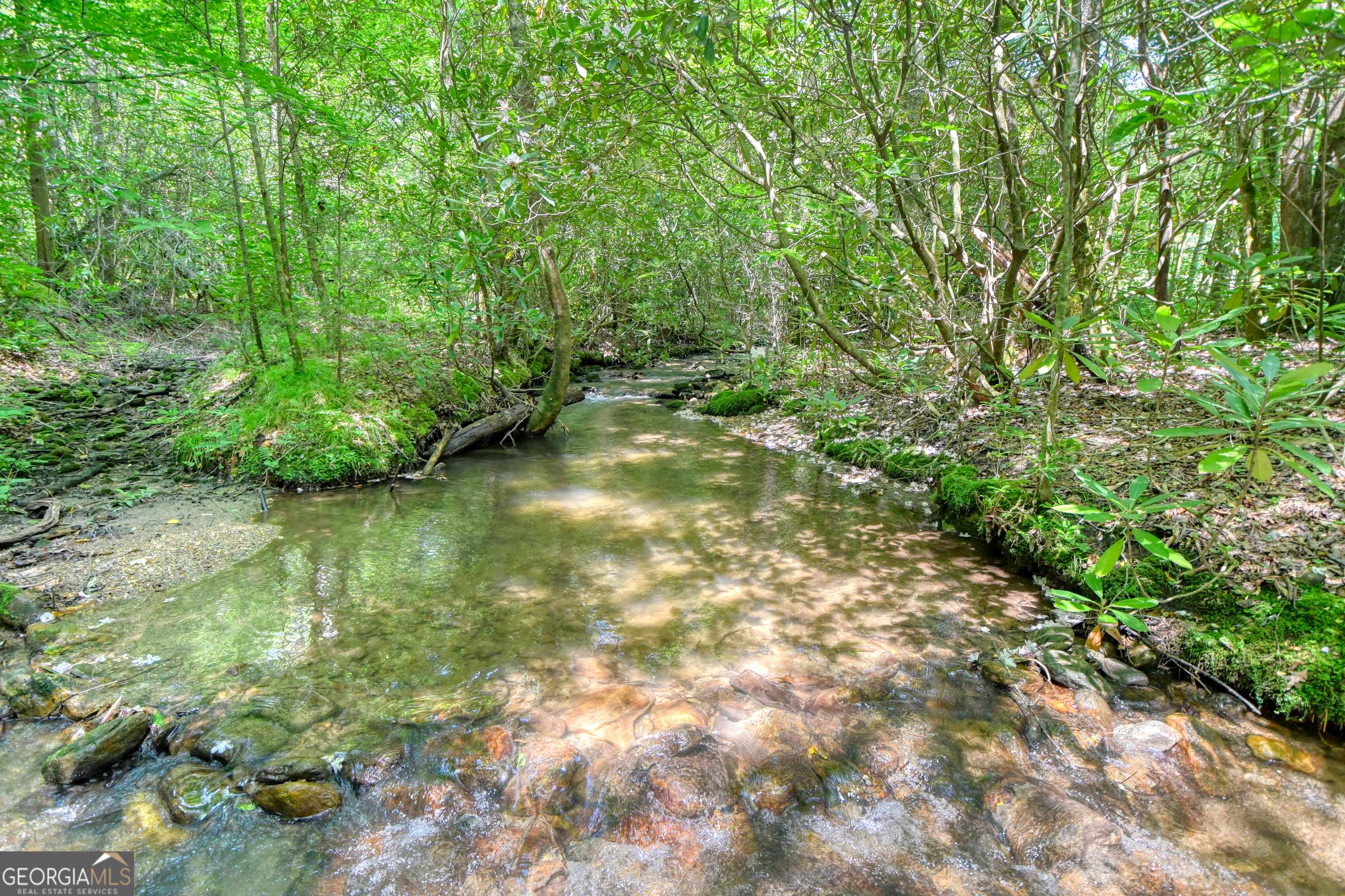 Rabun Gap, GA 30568,164 Asa Cove LN