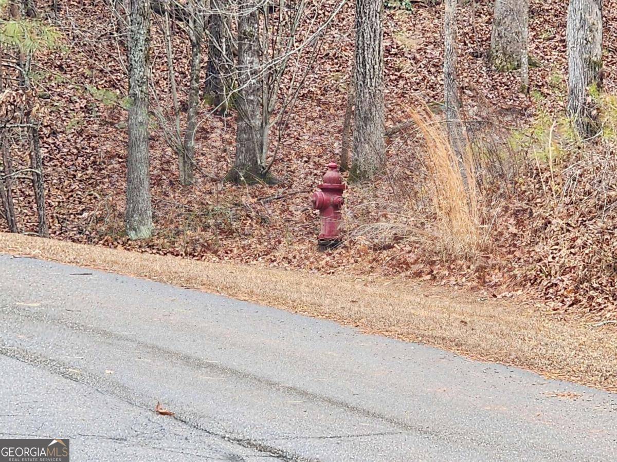 Ellijay, GA 30540,LOT 9 Harris Creek DR