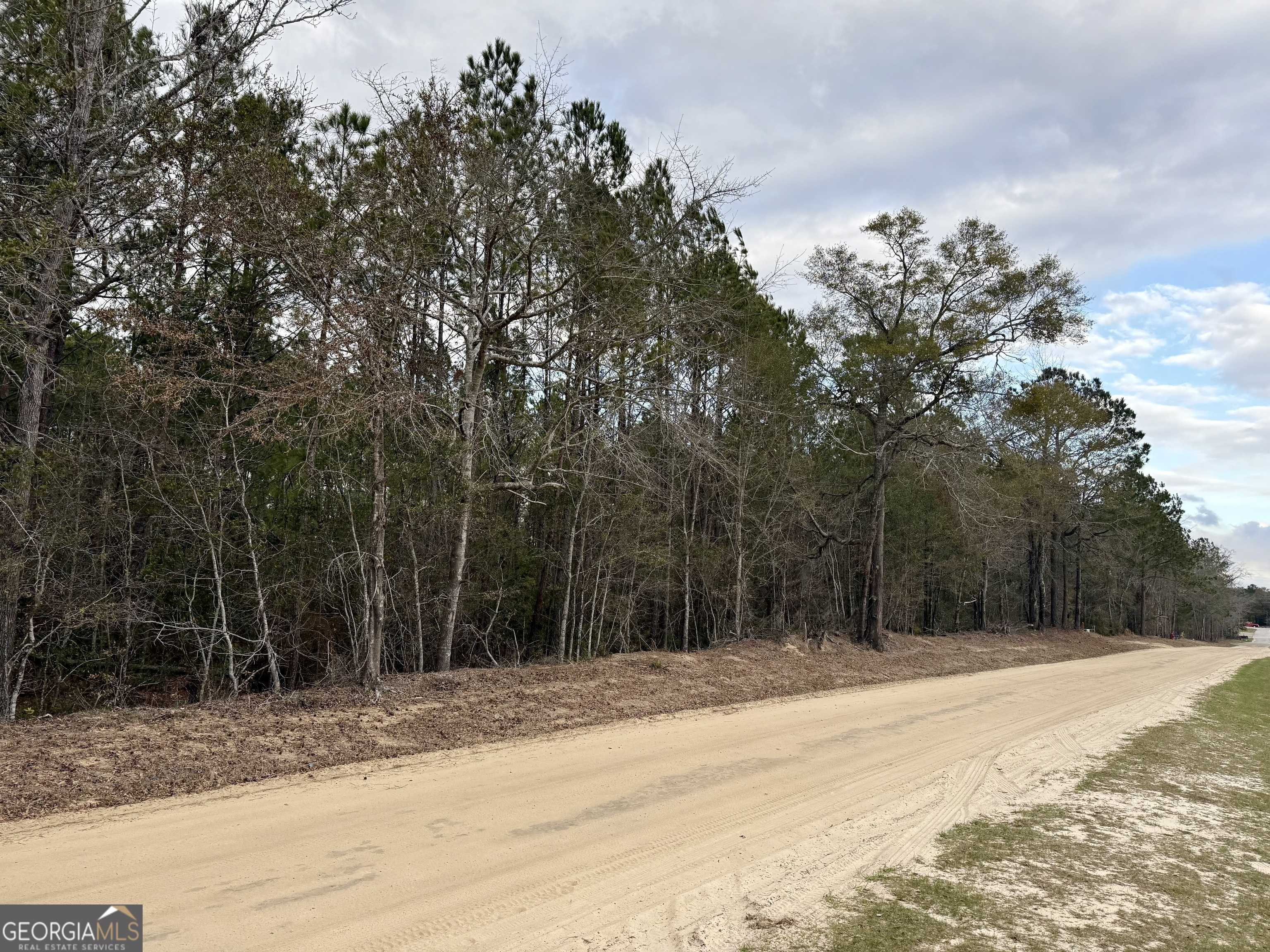 Millen, GA 30442,0 Highway 25 N