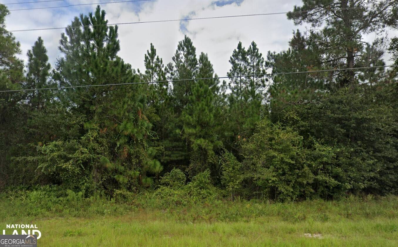 Jesup, GA 31545,00 Tank Road #A & B