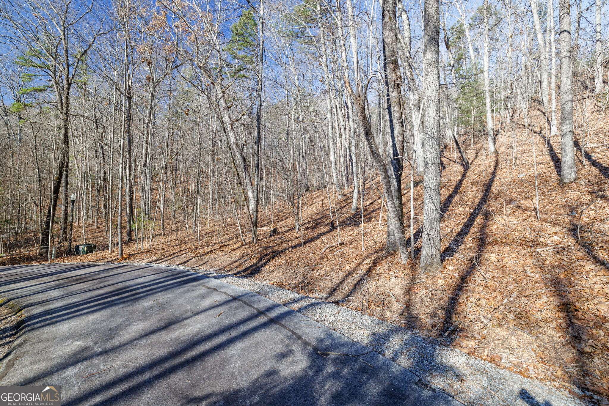 Clayton, GA 30525,0 Forest Canopy Way #11