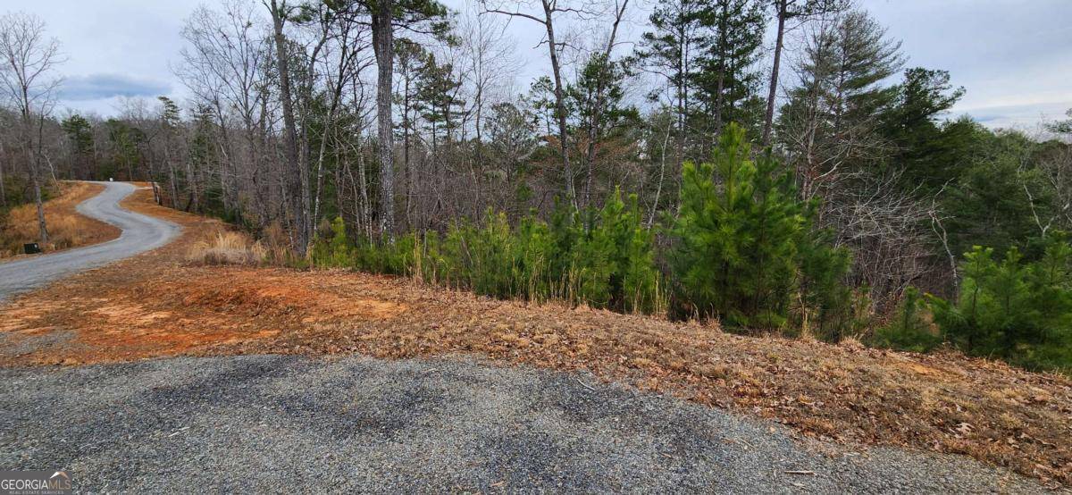 Ellijay, GA 30540,LOT 138 Sundown TRL