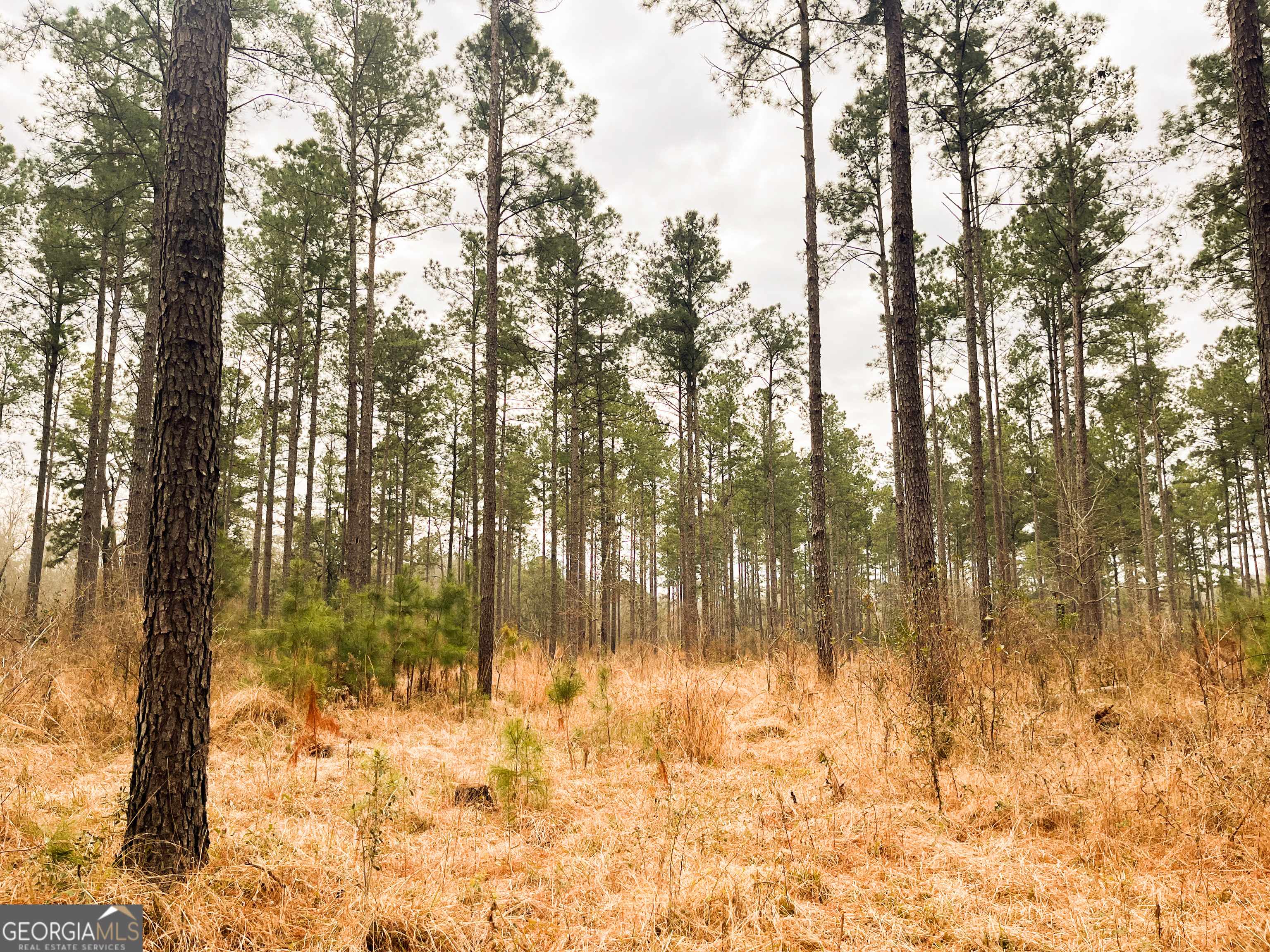 Bainbridge, GA 39817,0 Newton RD