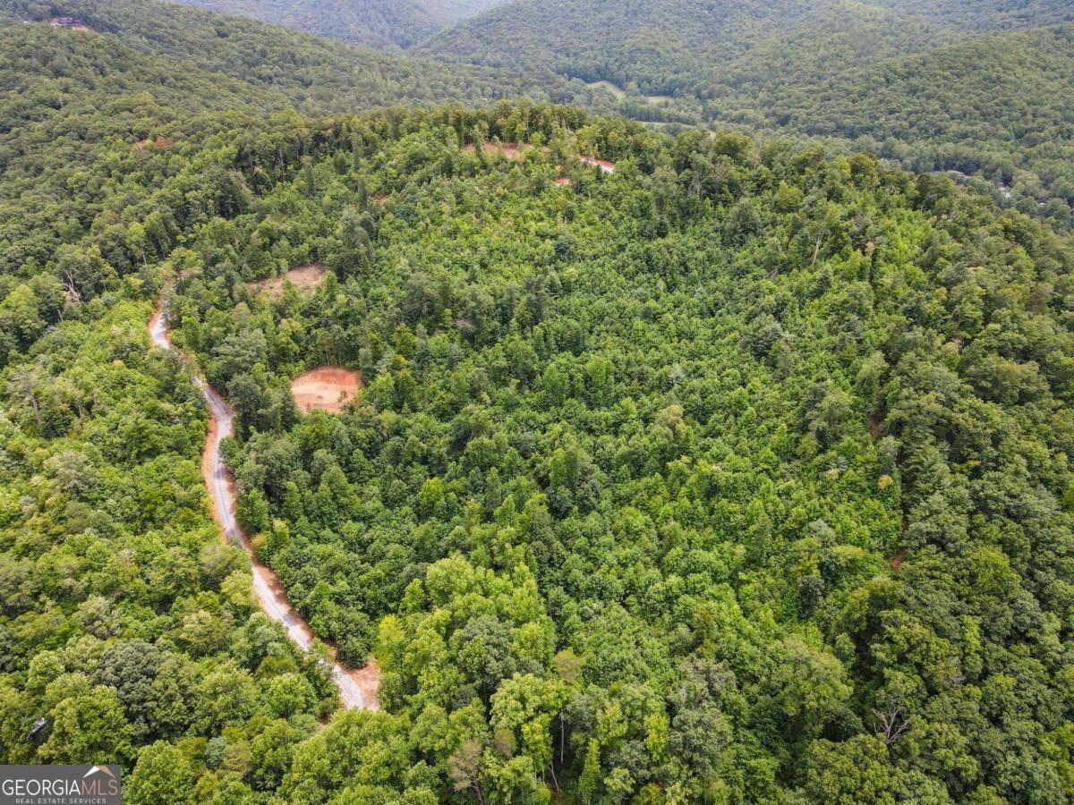 Hiawassee, GA 30546,14.14 Acres Tom Wheeler RD