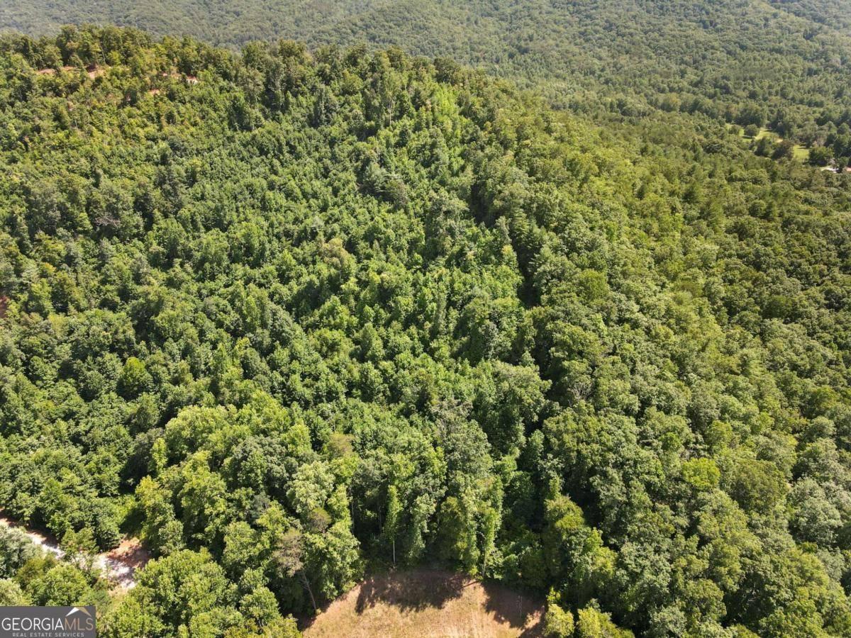 Hiawassee, GA 30546,14.14 Acres Tom Wheeler RD