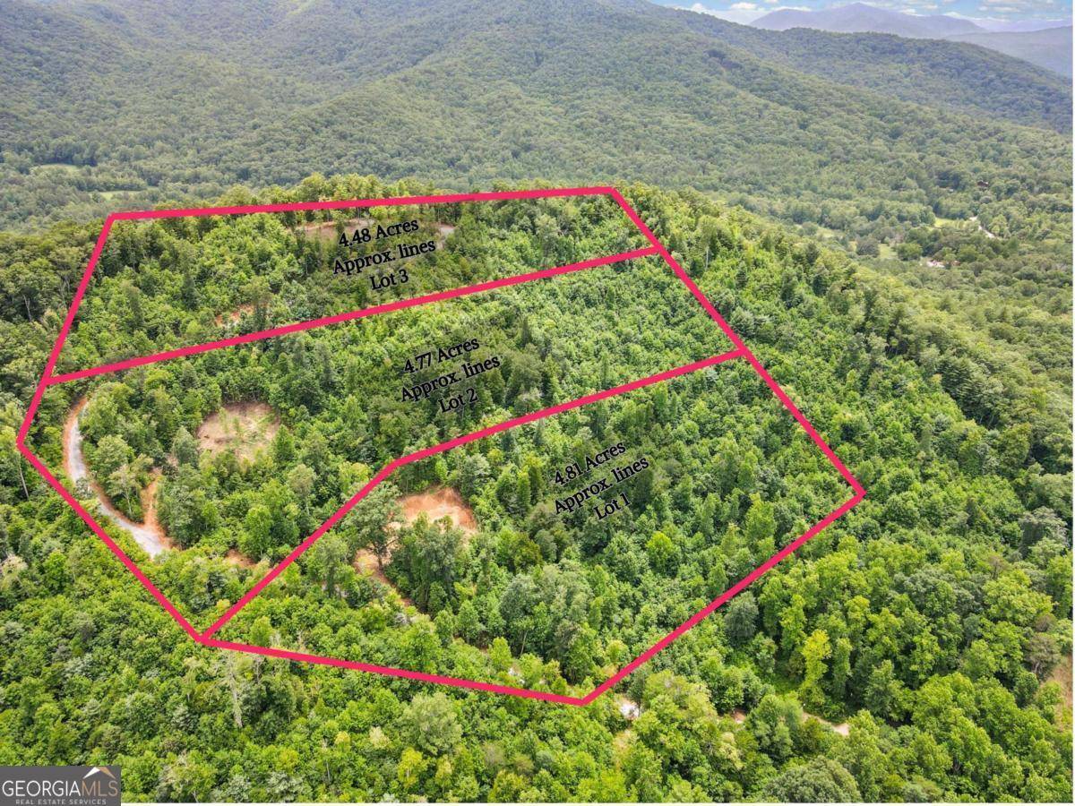 Hiawassee, GA 30546,4.48 Acres Tom Wheeler RD