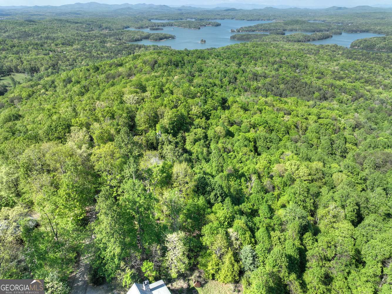 Blue Ridge, GA 30513,5 Lakeview DR