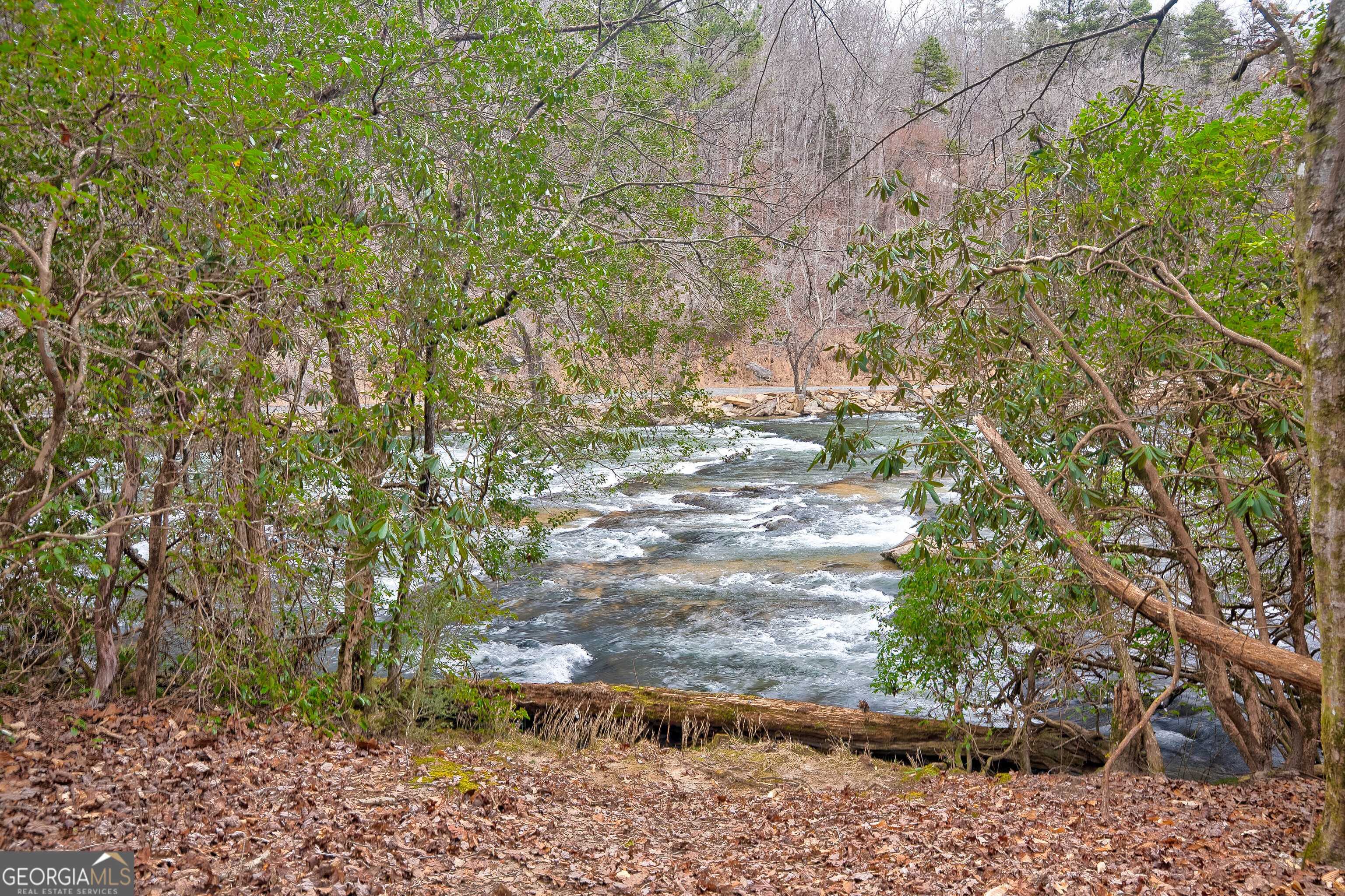 Ellijay, GA 30540,8 ACRES Brunton CIR