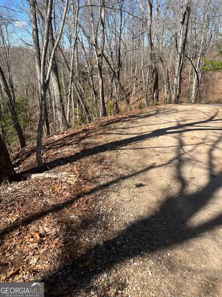 Franklin, NC 28734,0 Timberland Trail