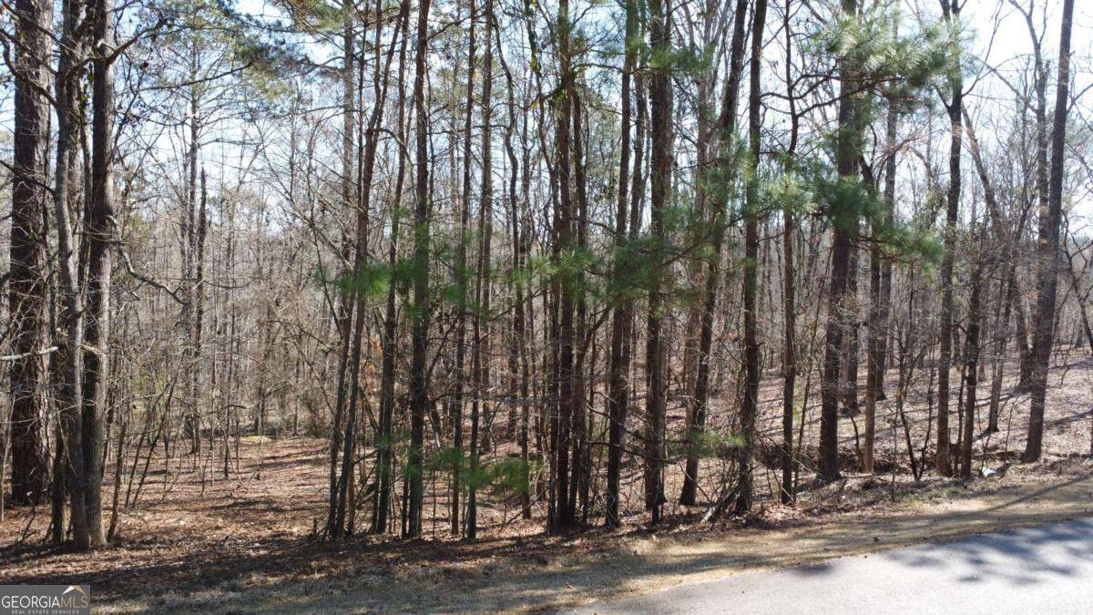 Greensboro, GA 30642,1041 Shadow Creek WAY