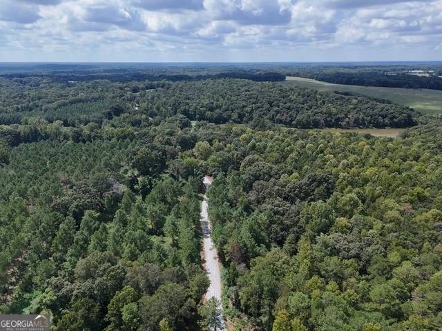 Nicholson, GA 30565,0 Sanford Lake DR #TRACT 1