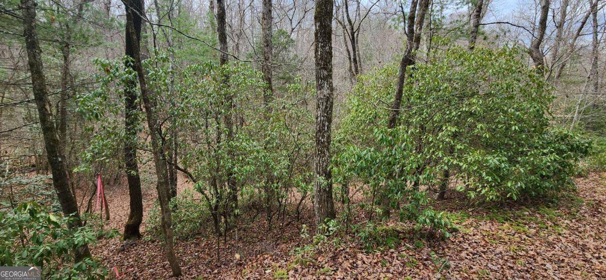 Blairsville, GA 30512,LOT 18 Gray Fox TRL
