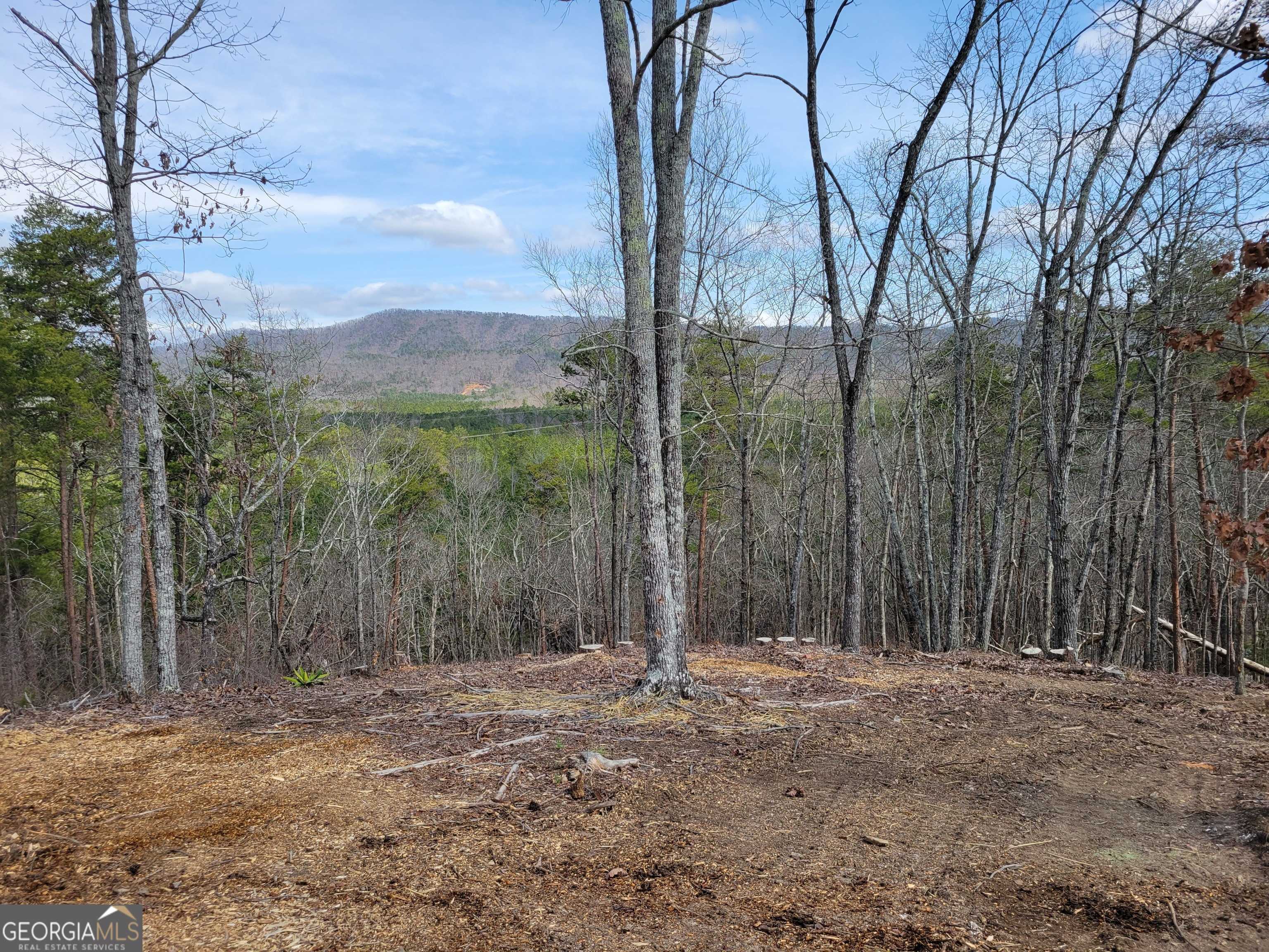 Chatsworth, GA 30705,31 Old Sawmill RD