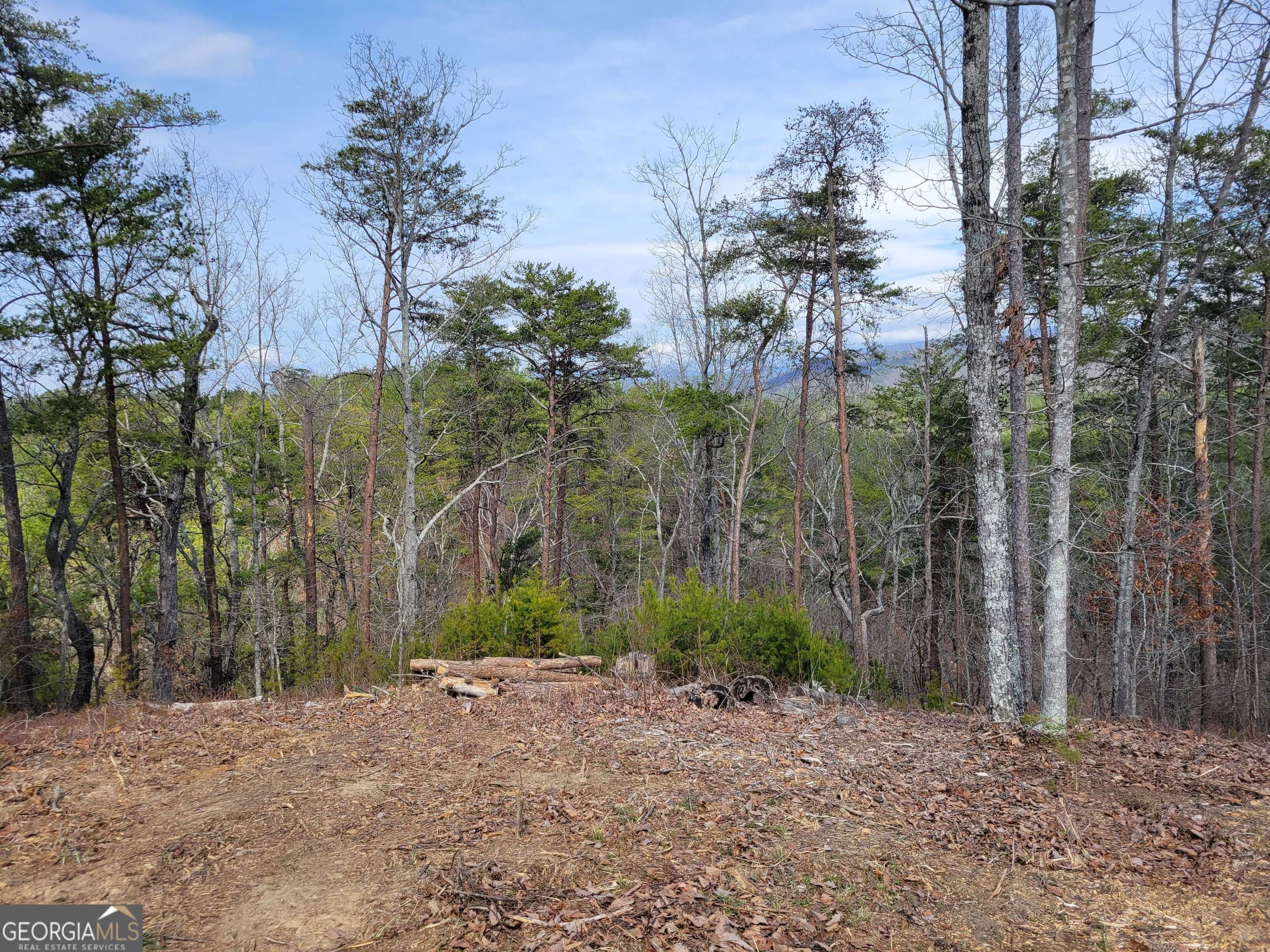 Chatsworth, GA 30705,31 Old Sawmill RD