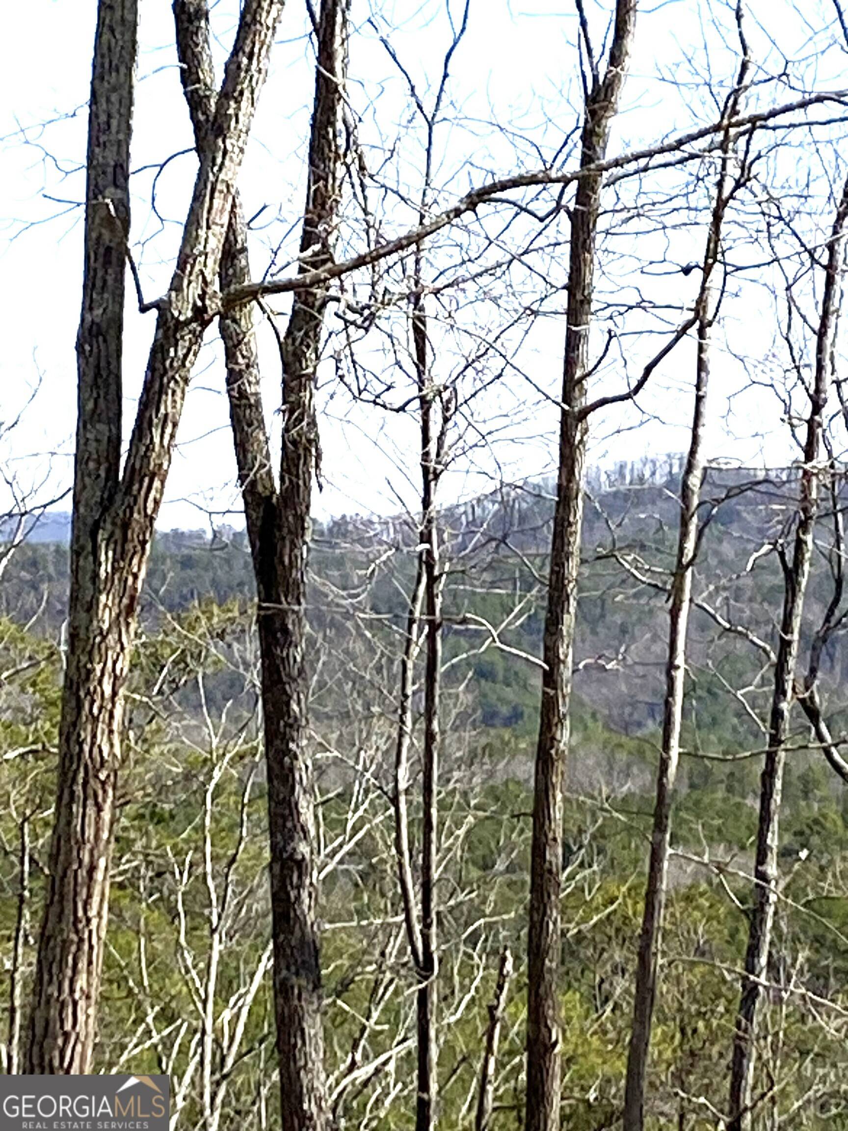Chatsworth, GA 30705,31 Old Sawmill RD