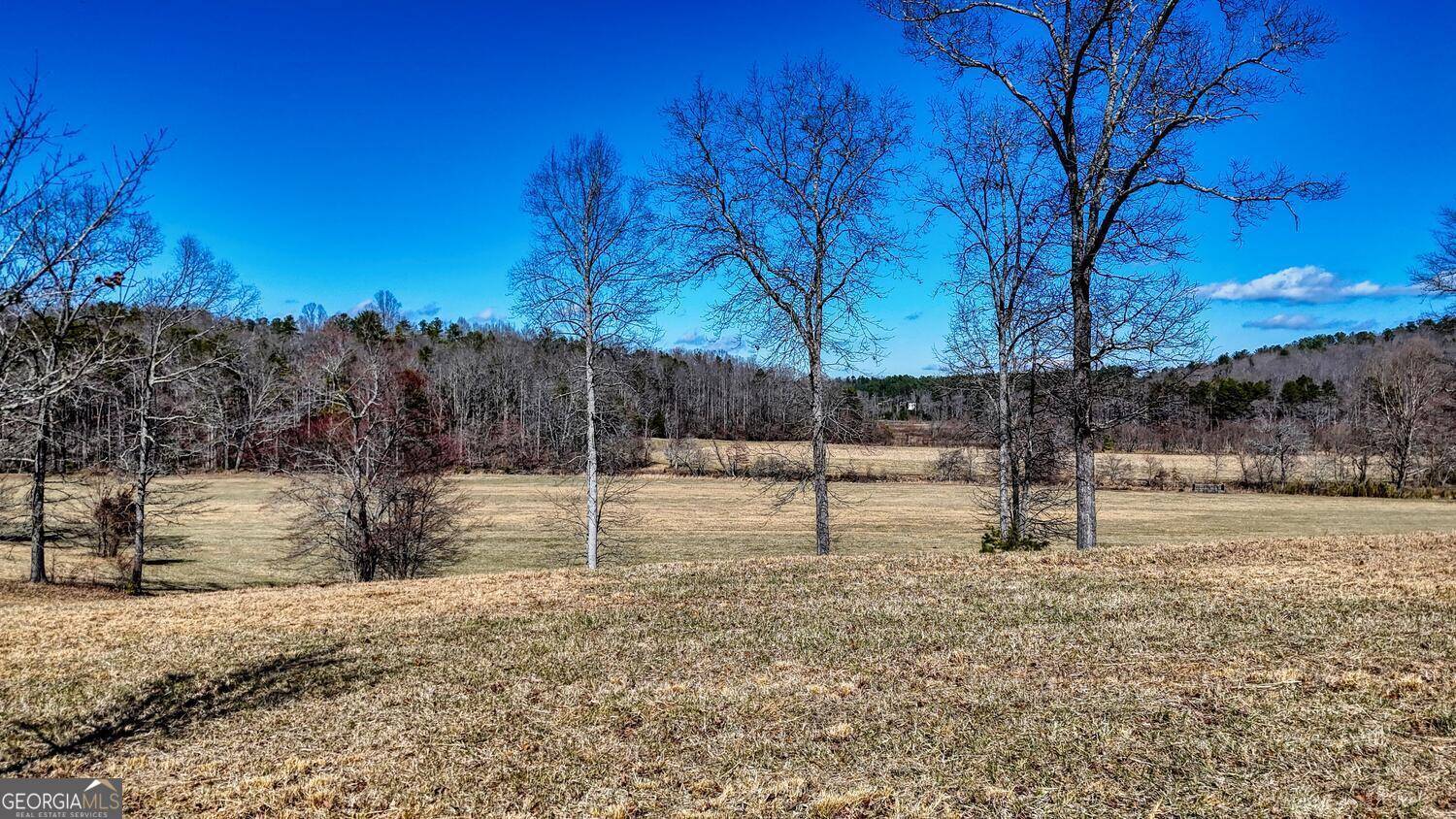 Blairsville, GA 30512,0 Lola DR #LOT 79