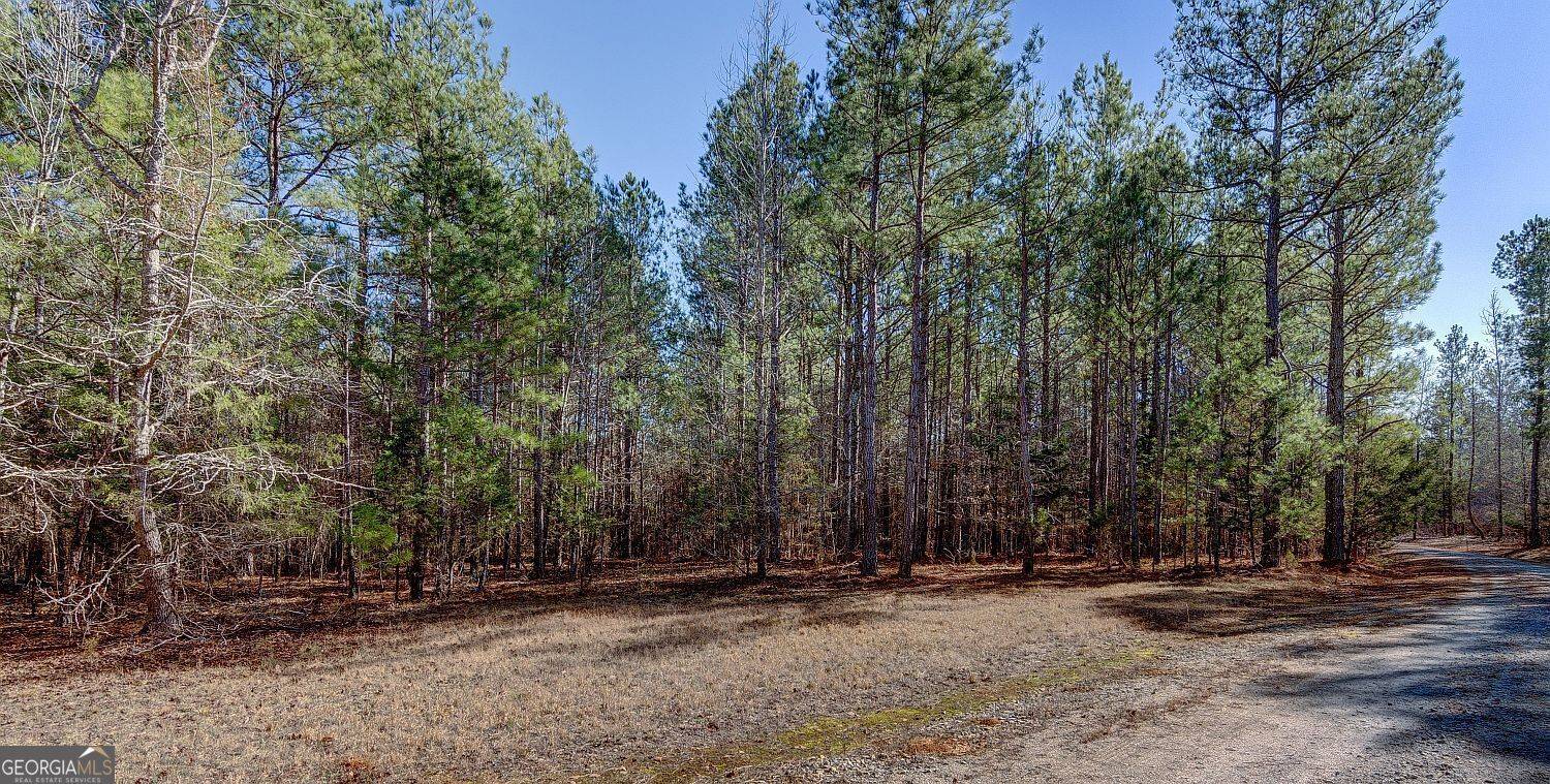 Elberton, GA 30635,LOT 30 Benjamin Brown CT