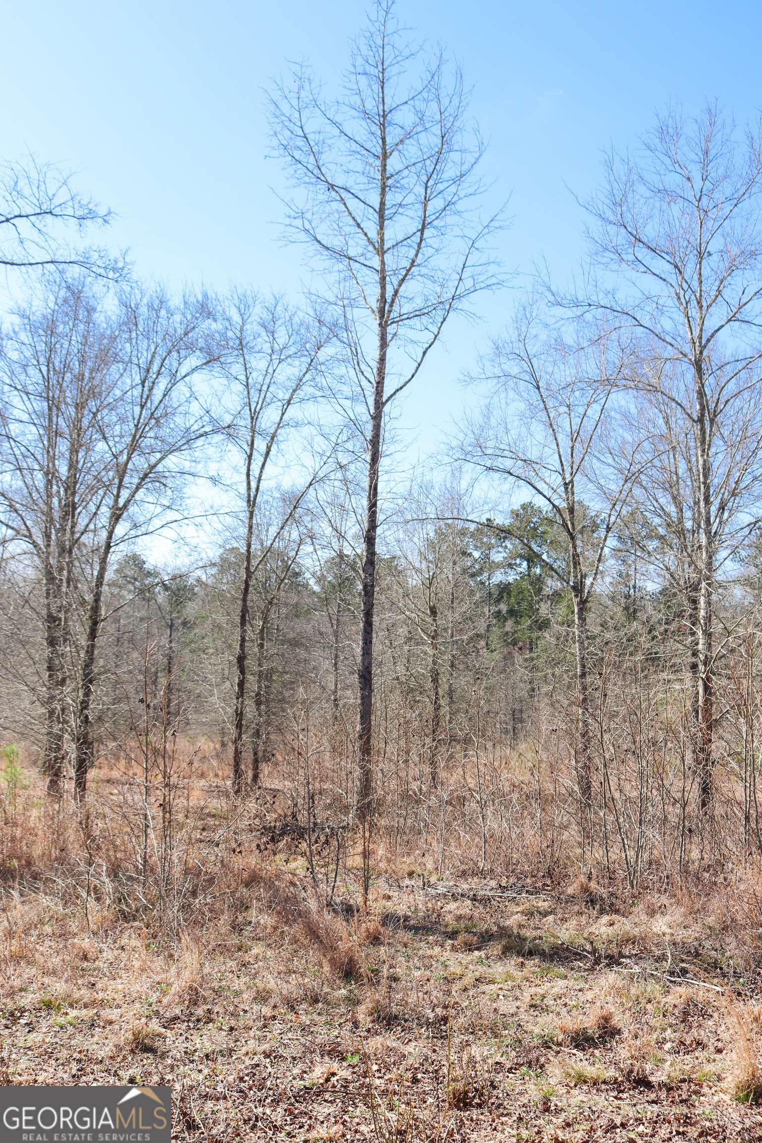 Greensboro, GA 30642,LOT 29 Bayside DR
