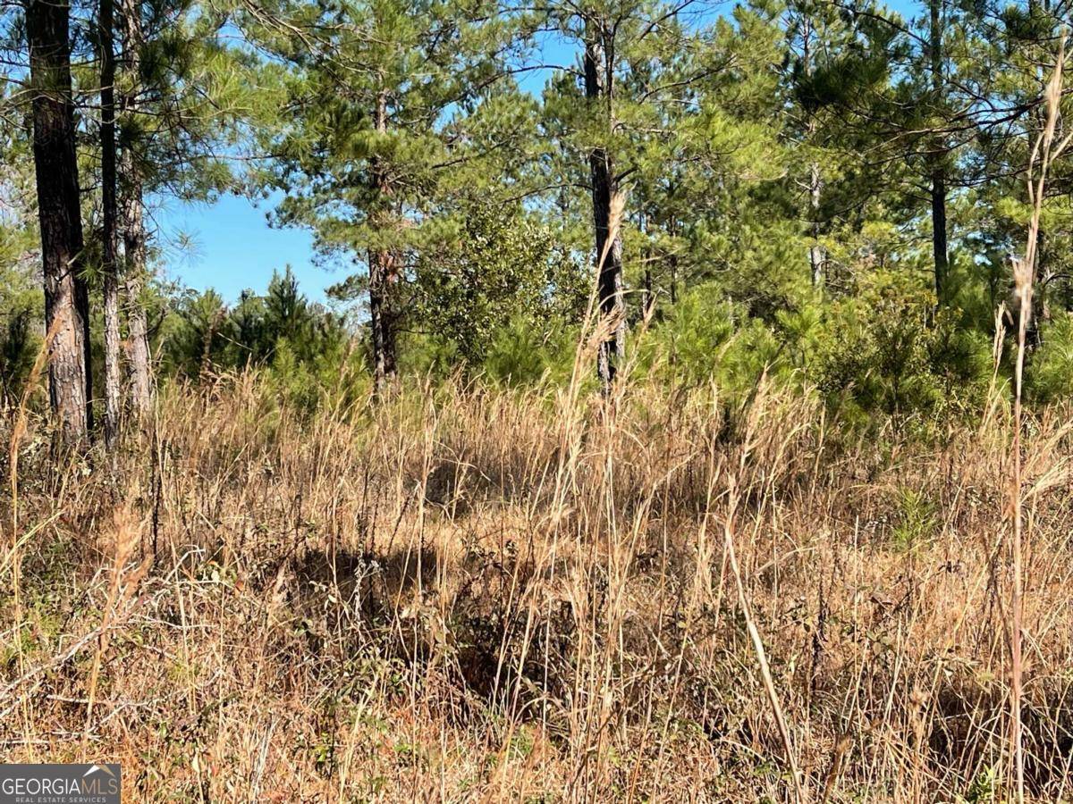Waynesville, GA 31566,0 Landing TRL