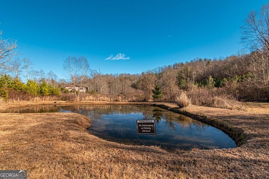 Blue Ridge, GA 30513,LOT #11 Long View LN