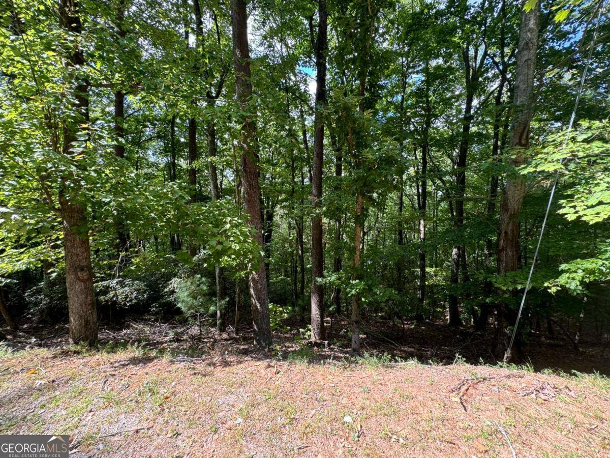 Ellijay, GA 30536,LOT M42 Sleepy Hollow RD