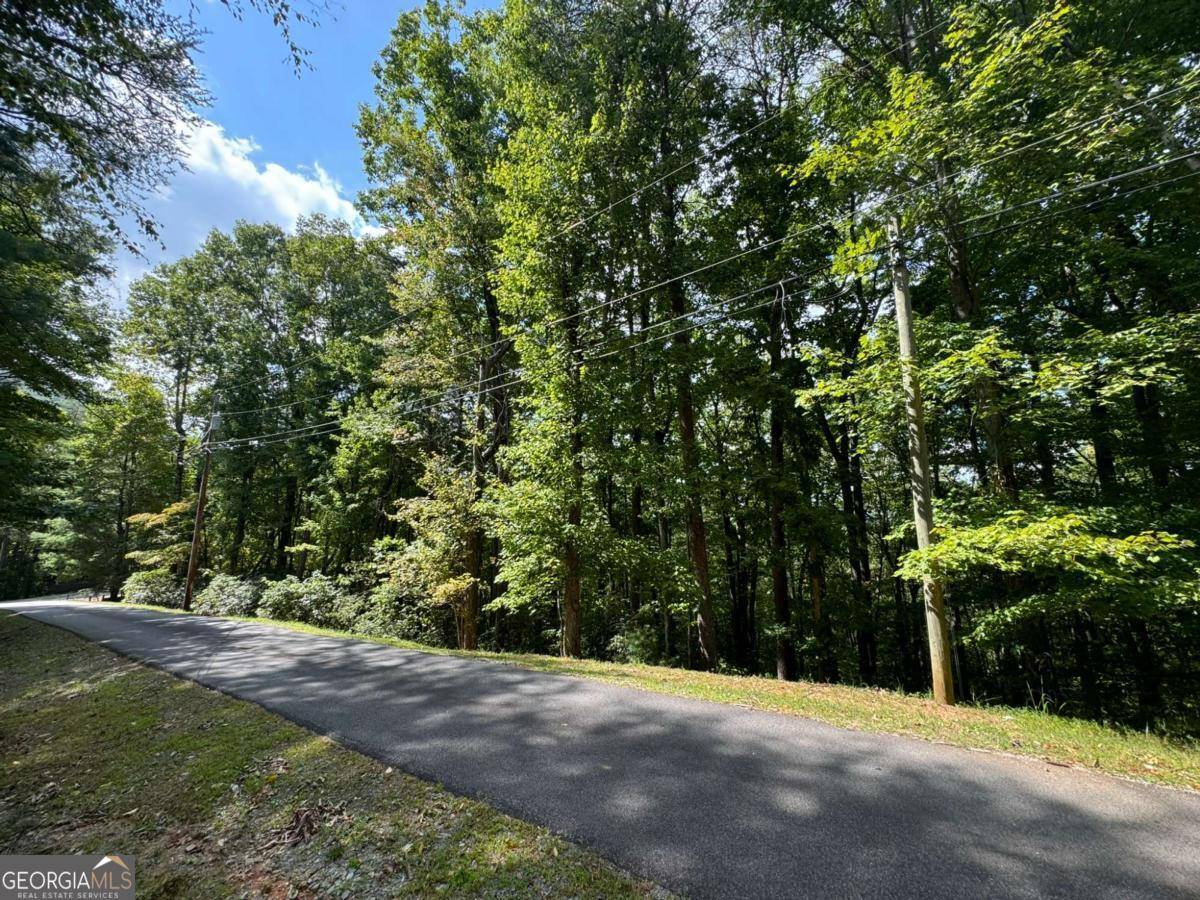 Ellijay, GA 30536,LOT M42 Sleepy Hollow RD