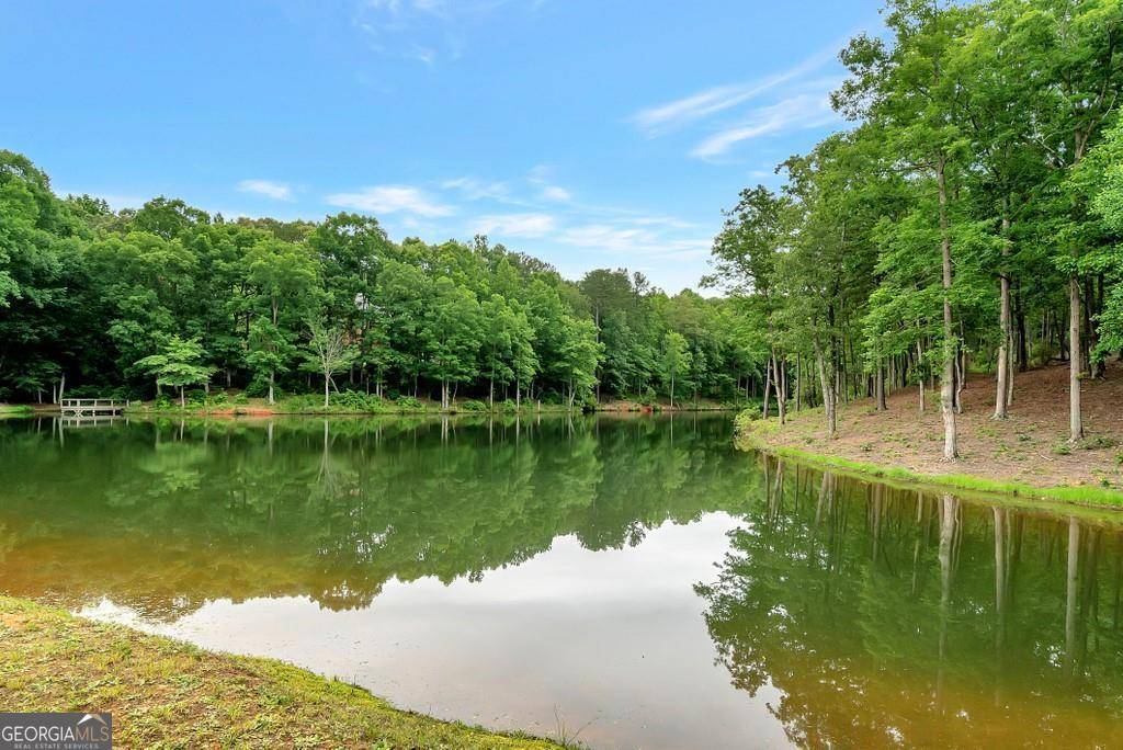 Clarkesville, GA 30523,0 Rome Beauty Lane, Lot 16