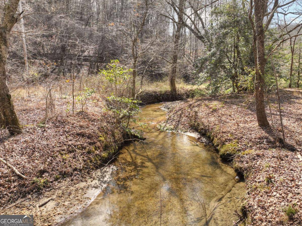 Blue Ridge, GA 30513,5 AC Pack Creek RD