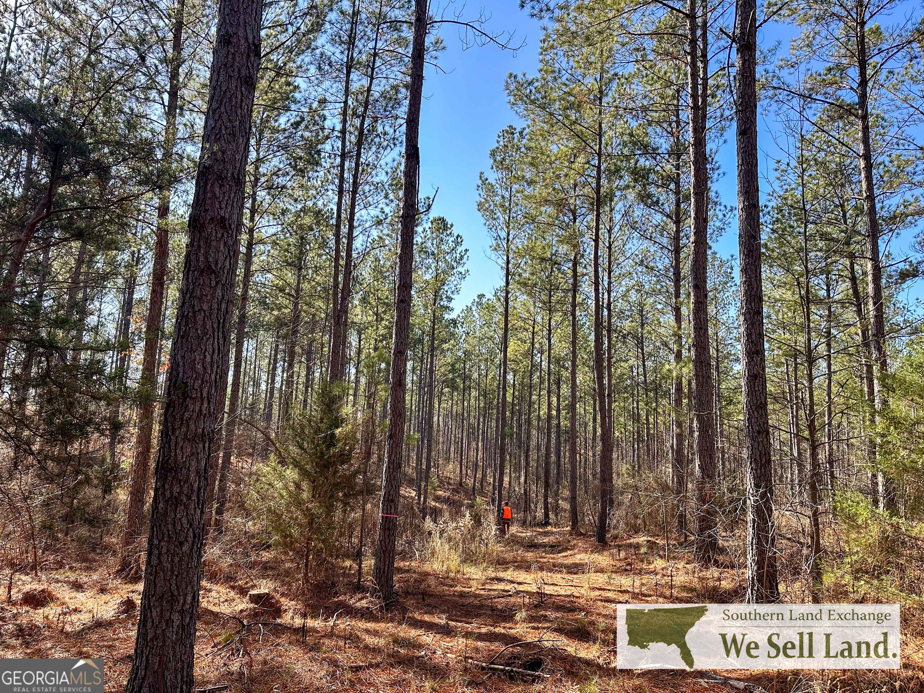 Lyerly, GA 30730,0 Gaylor Road